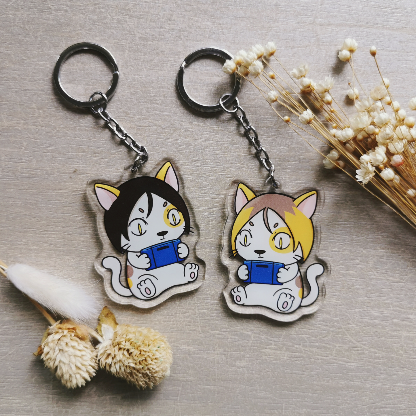 HQ Nekoma Cats