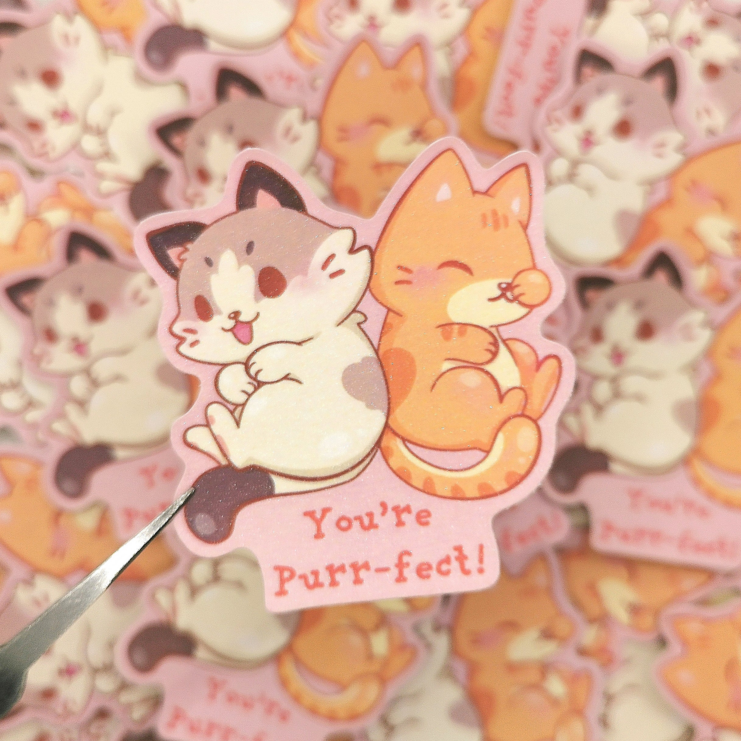 Purrrfect Sticker You're Puur-fect! Print x Sticker – Saltyboos